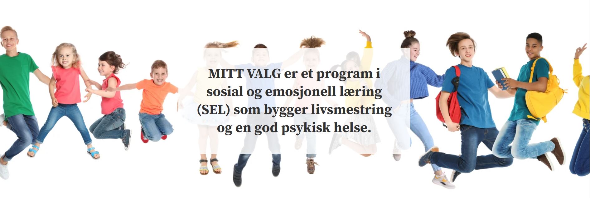 Artikkelbilde til artikkelen Mitt Valg